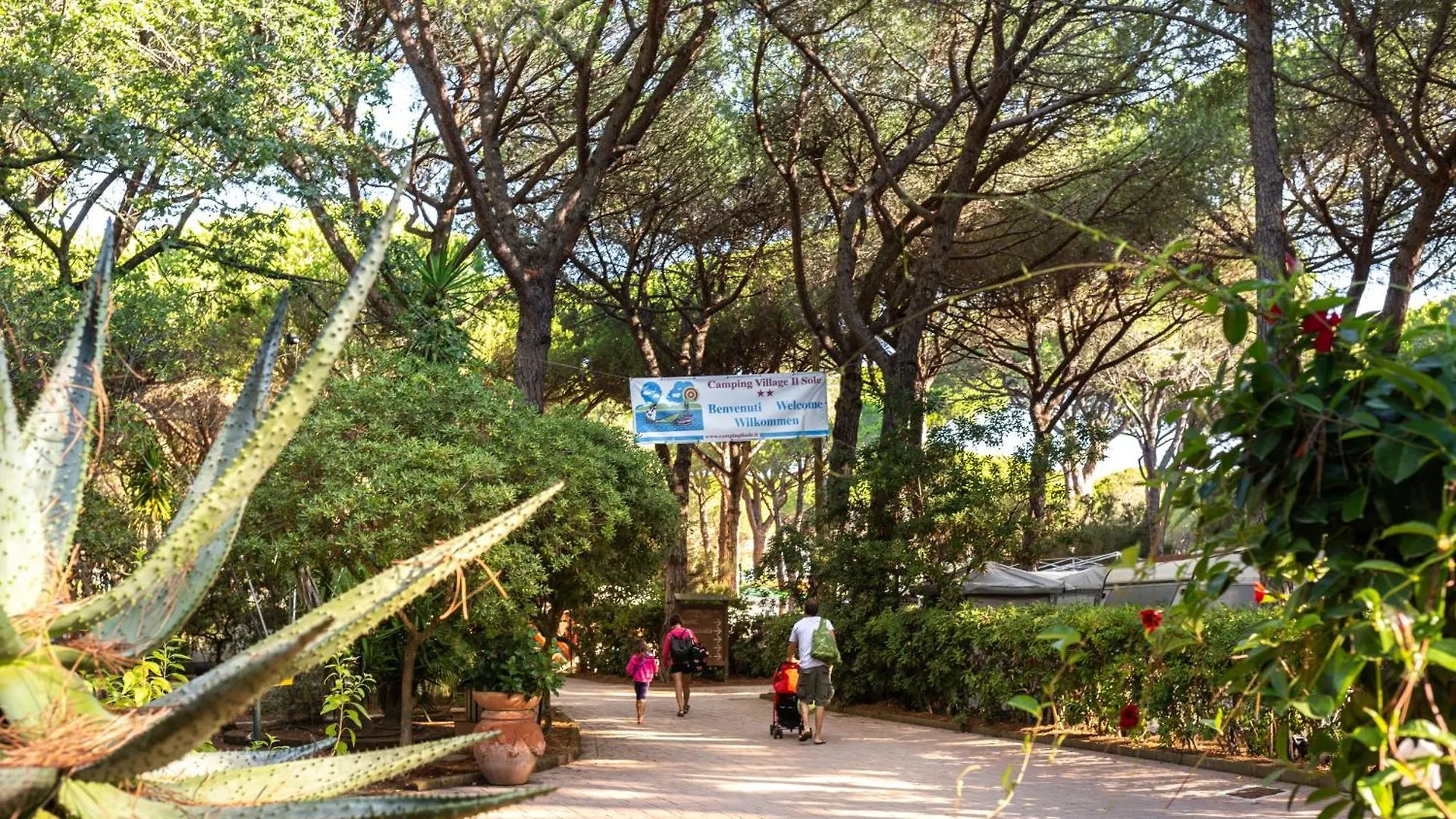Κάμπινγκ Camping Village Il Sole - Empty Pitch Only - Solo Piazzole Per La Propria Tenda O Caravan Marina di Grosseto