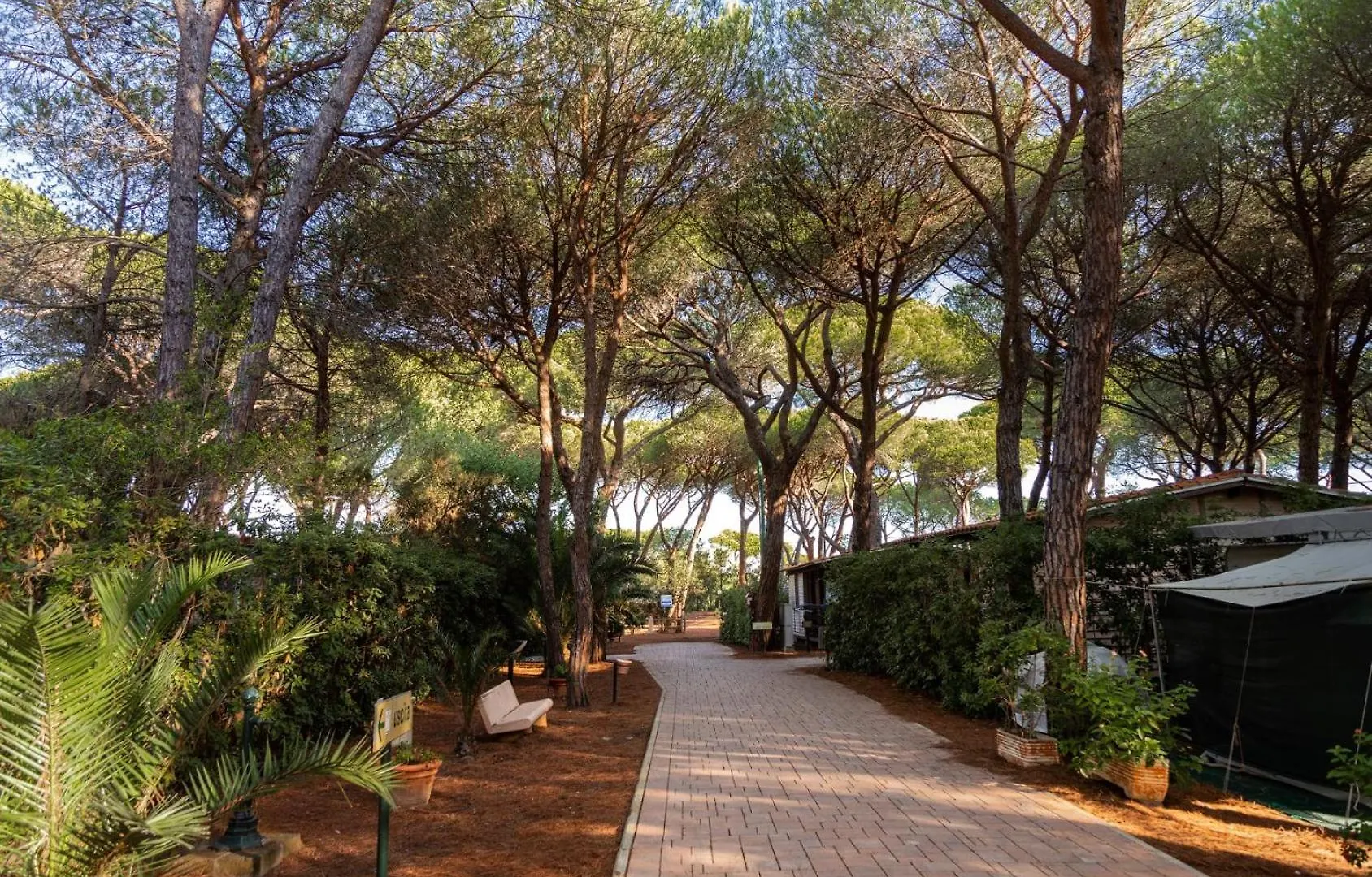 Campsite Camping Village Il Sole - Empty Pitch Only - Solo Piazzole Per La Propria Tenda O Caravan Marina di Grosseto