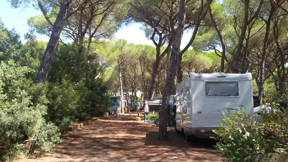 Campsite Camping Village Il Sole - Empty Pitch Only - Solo Piazzole Per La Propria Tenda O Caravan Marina di Grosseto