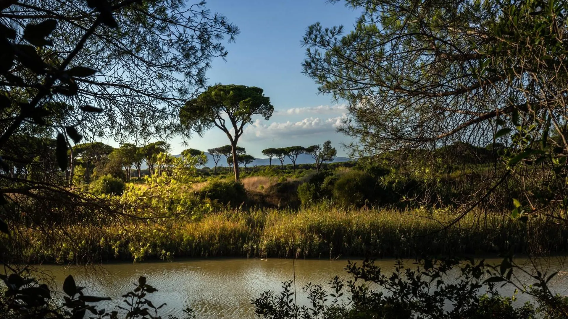 Camping Village Il Sole - Empty Pitch Only - Solo Piazzole Per La Propria Tenda O Caravan Marina di Grosseto 0*,