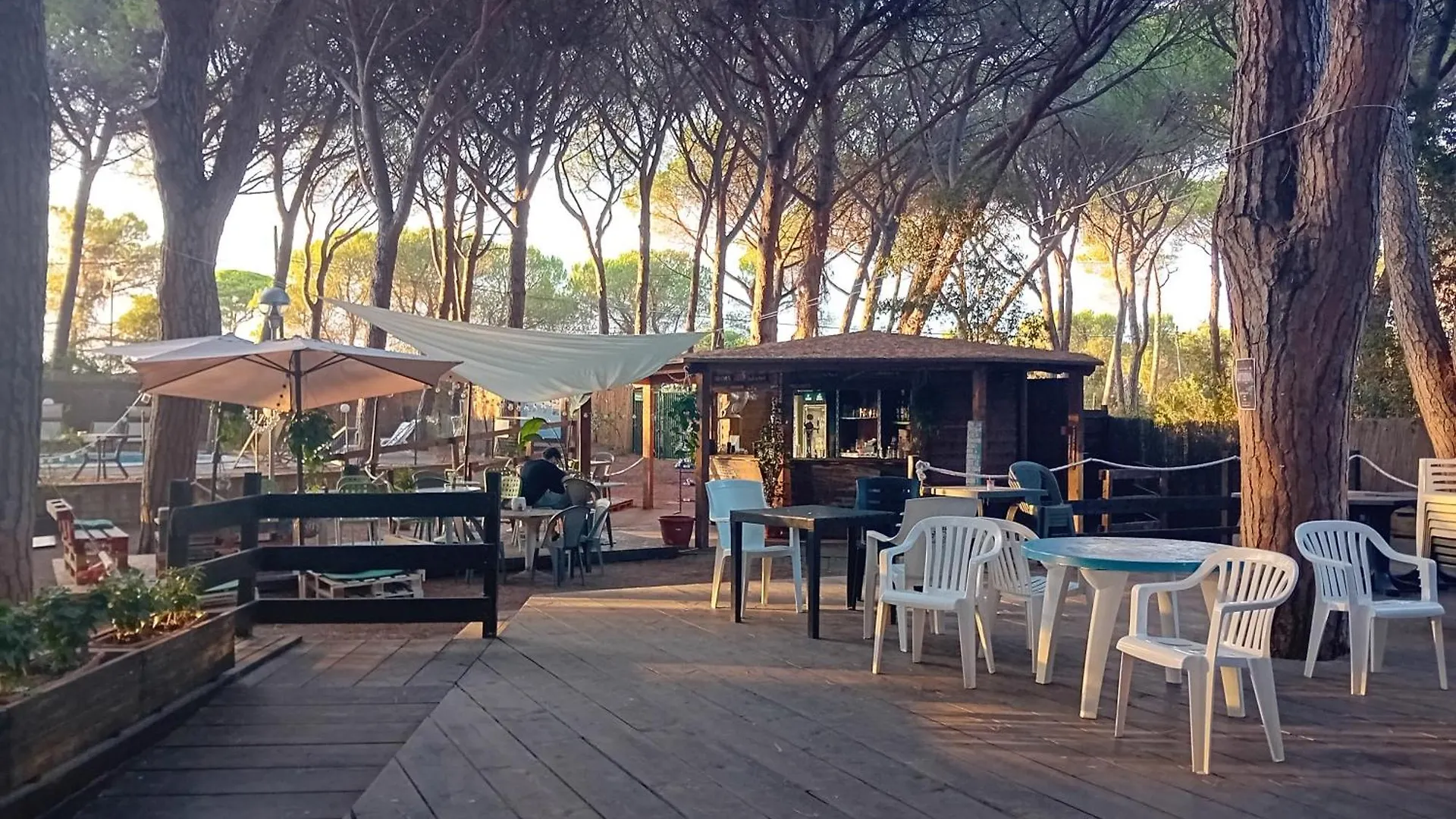 Campsite Camping Village Il Sole - Empty Pitch Only - Solo Piazzole Per La Propria Tenda O Caravan Marina di Grosseto