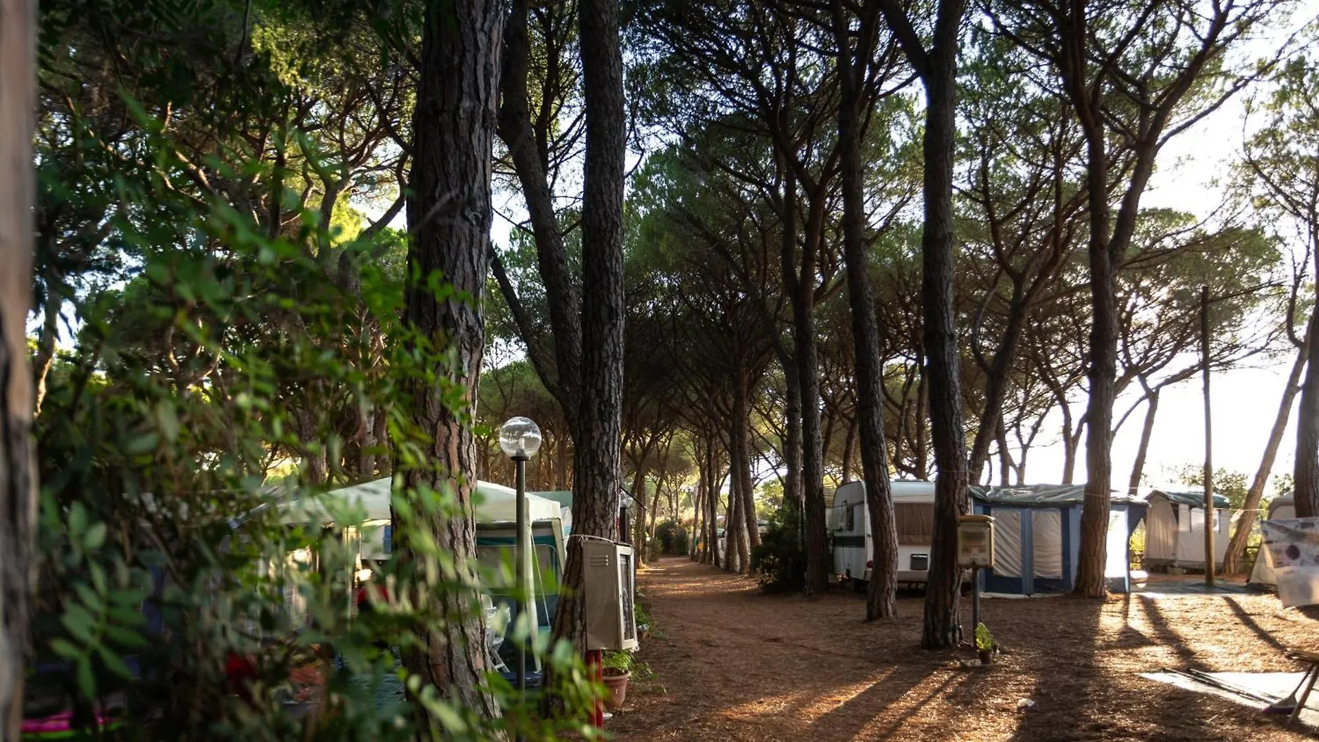 Camping Village Il Sole - Empty Pitch Only - Solo Piazzole Per La Propria Tenda O Caravan Marina di Grosseto